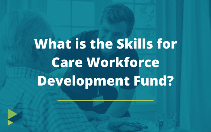 What is the Skills for Care Workforce Development Fund? - NTG Training